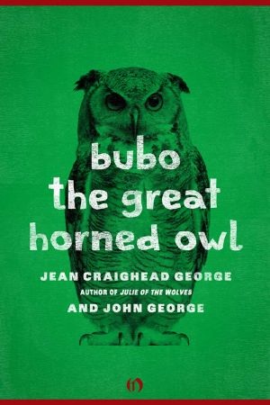 [American Woodland Tales 01] • Bubo, the Great Horned Owl